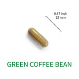 LOVITA Green Coffee Bean Extract capsules lifestyle scene