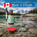 LOVITA Propolis Extract lifestyle image with honey