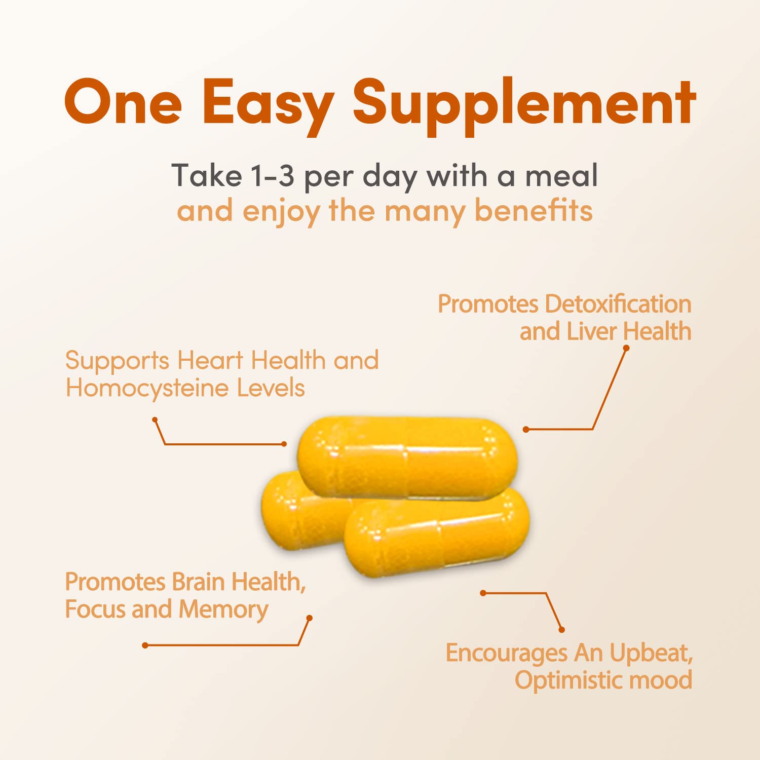 LowTE Florida Methyl Factors+ supplement bottle side view