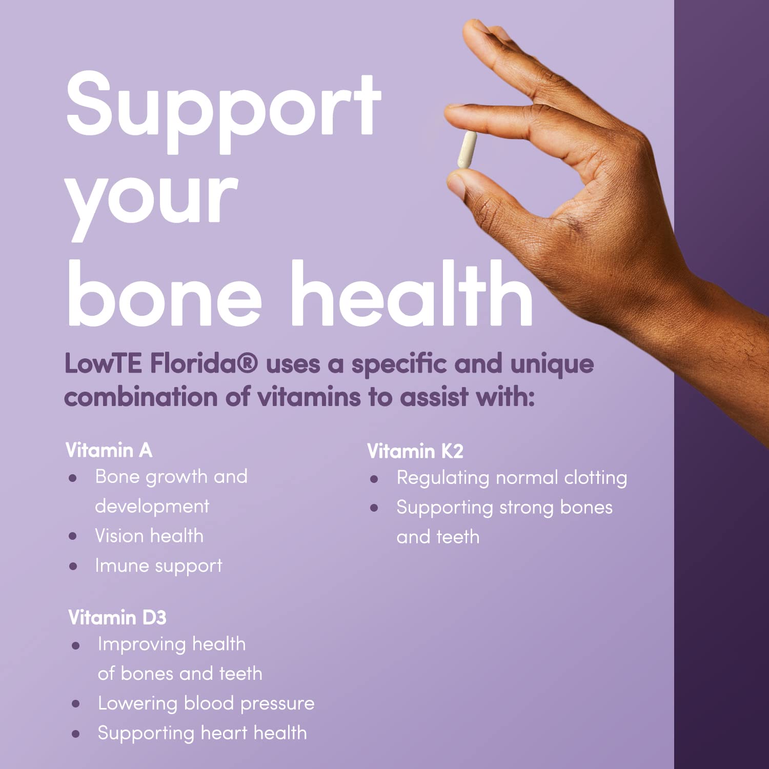 LowTE Florida Vitamins A, D & K Supplement label details
