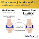 Lubrisyn Hyaluronic Acid Joint Support Supplement label close-up