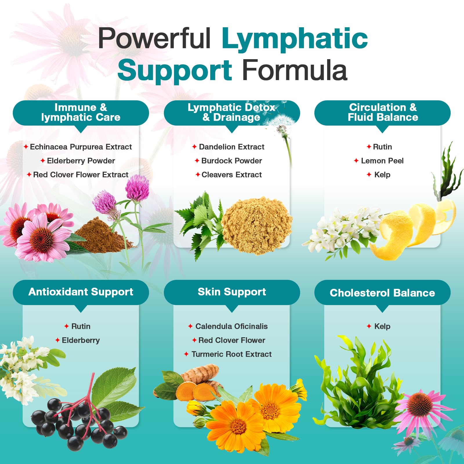 LUCKCHAN Echinacea Lymphatic Support Capsules displayed on a wooden surface