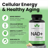 Luma Nutrition NAD+ Supplement side view with label