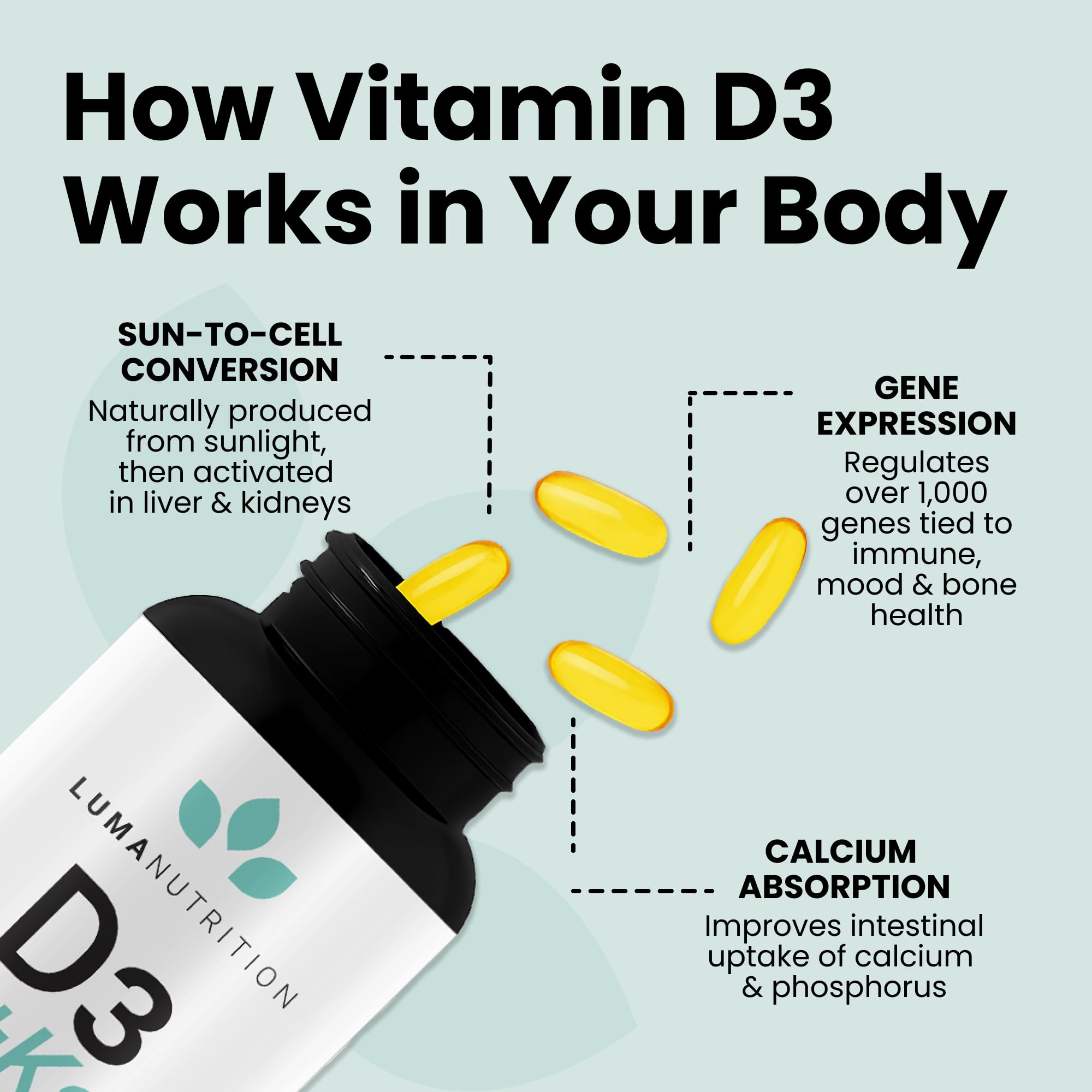 Luma Nutrition Vitamin D3 + K2 supplement bottle back view