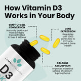 Luma Nutrition Vitamin D3 + K2 supplement bottle back view