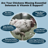 LuxeVib E and S Poultry Vitality Formula 118g liquid with feed