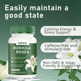 Lwefao Rhodiola Rosea Capsules side view showing dosage