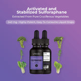 Lyfetrition Sulforaphane Liquid Extract 222g ingredients list