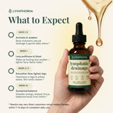 LYMPHORIA Lymphatic Drainage Drops lifestyle scene