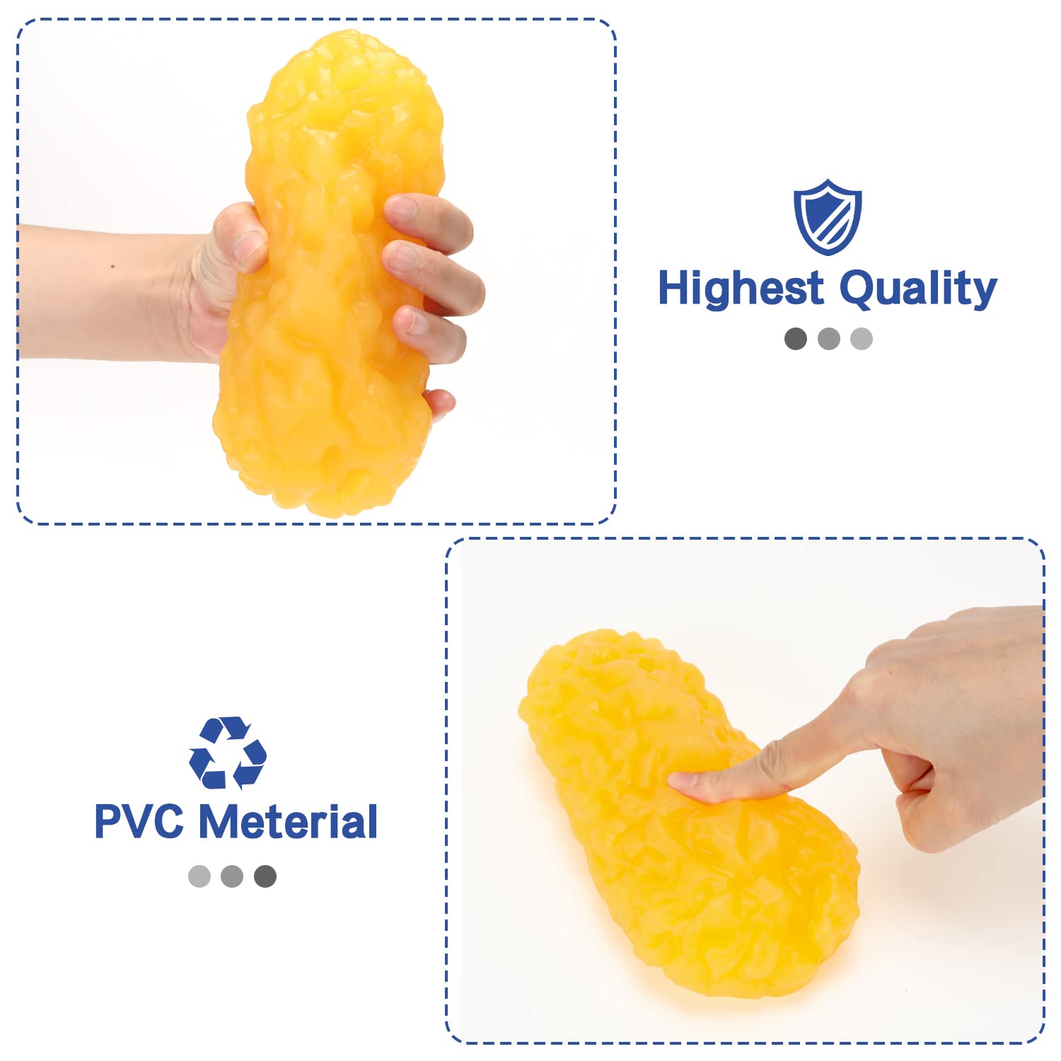LYOU Human Body Fat Replica with educational materials