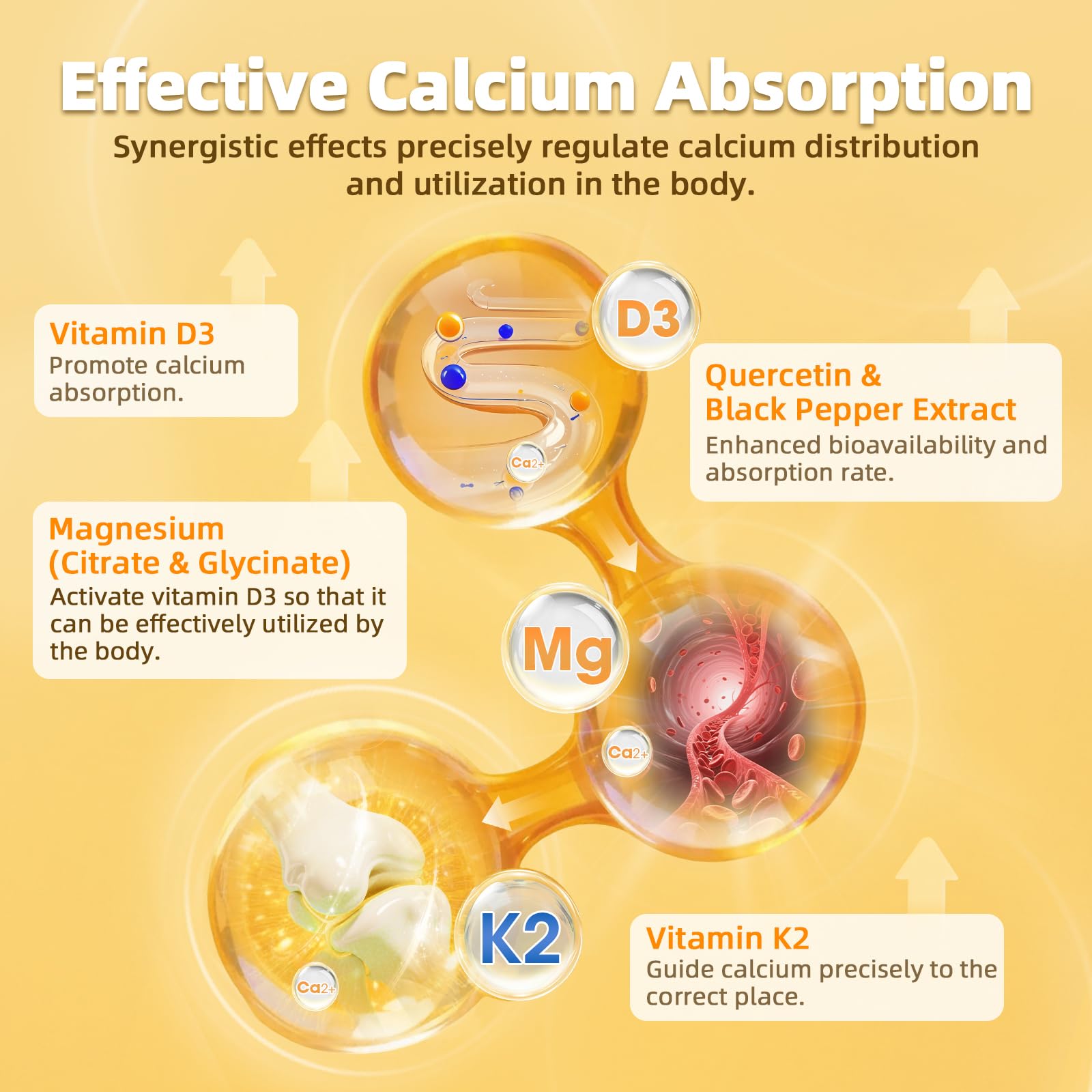 M inch Vitamin D3 K2 capsules lifestyle image