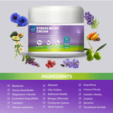M PAIN MANAGEMENT TECHNOLOGIES daily wellness daily wellness Cream 2.83oz back view