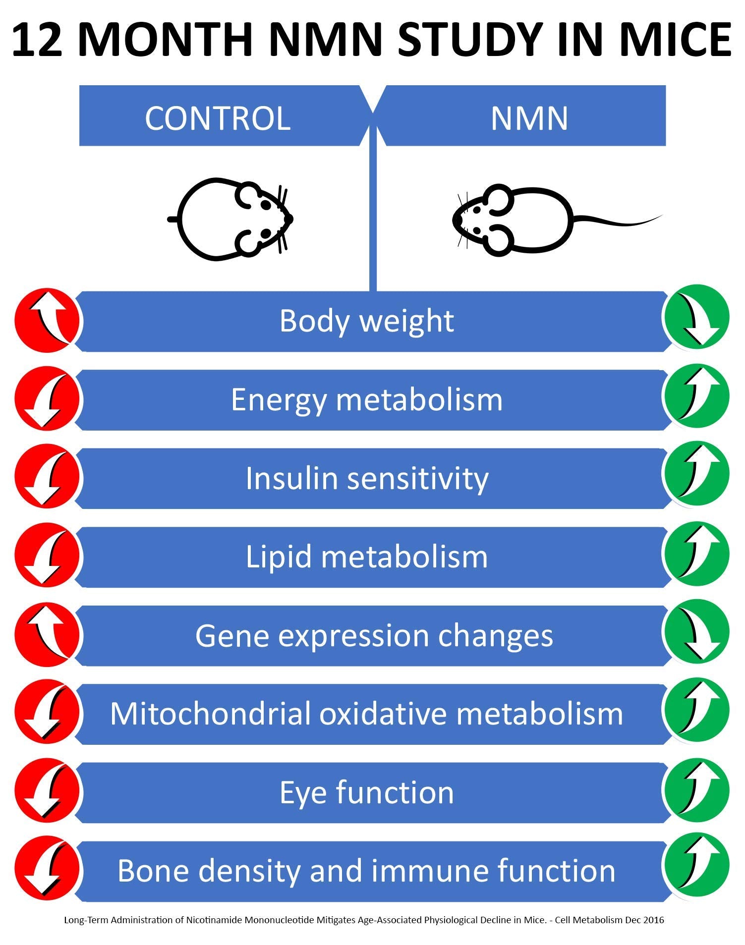 MAAC10 NMN Supplement 99% Pure Vitamin B3 packaging