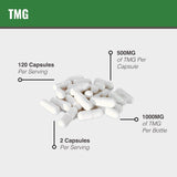 MAAC10 TMG Methyl Donor Supplement capsule close-up