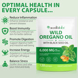Maaoun Oregano Oil Softgels 6000mg bottle with label