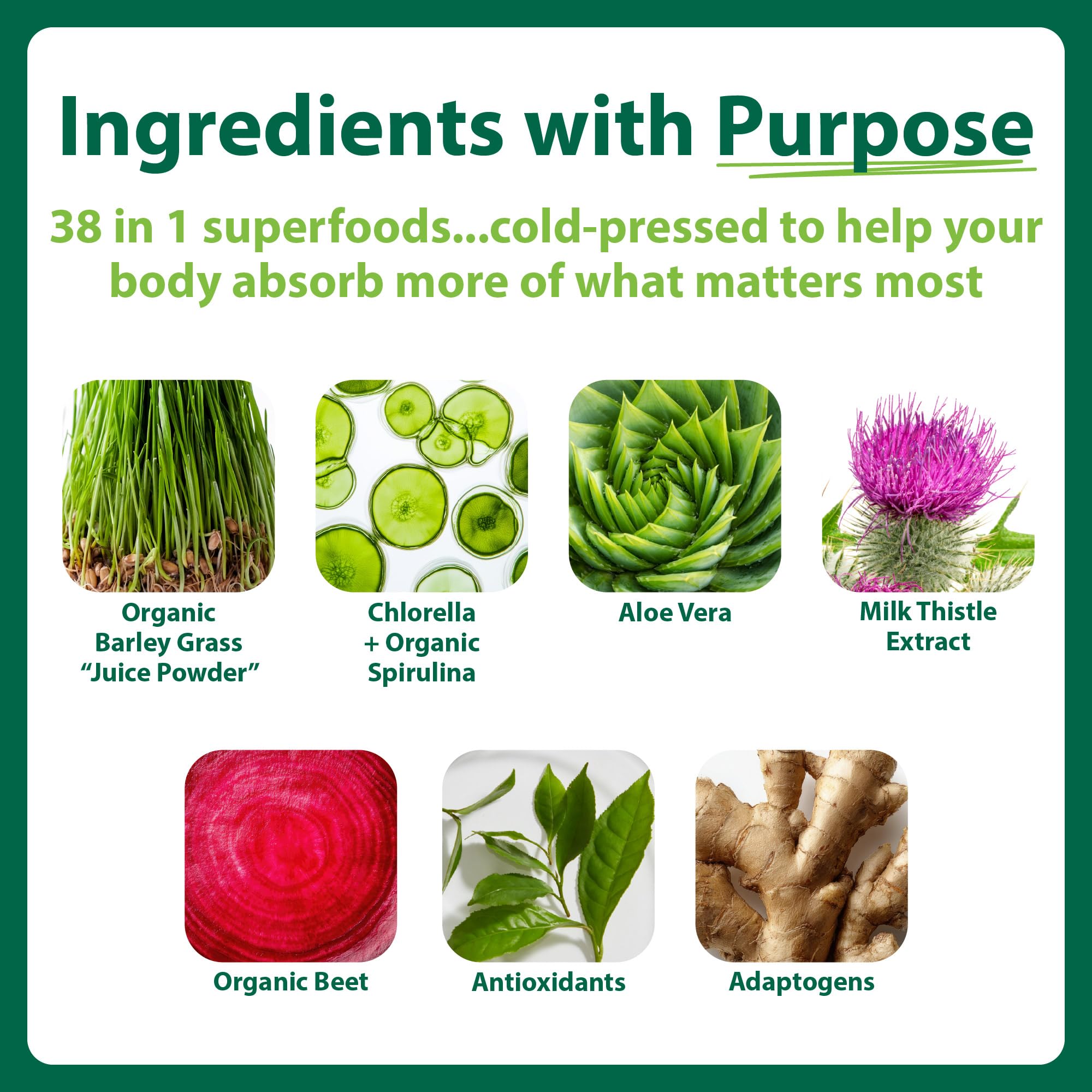 MacroLife Naturals Supergreens 38-IN-1 Supplement packaging