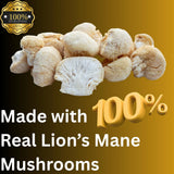 Mag Mushrooms Lion's Mane Mushroom Liquid Extract packaging