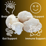 Mag Mushrooms Lion's Mane Mushroom Liquid Extract with dropper
