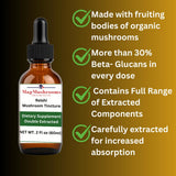 Mag Mushrooms Mushroom Supplement back view with ingredient list
