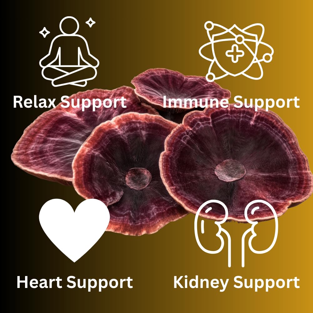 Mag Mushrooms Mushroom Supplement in a lifestyle setting
