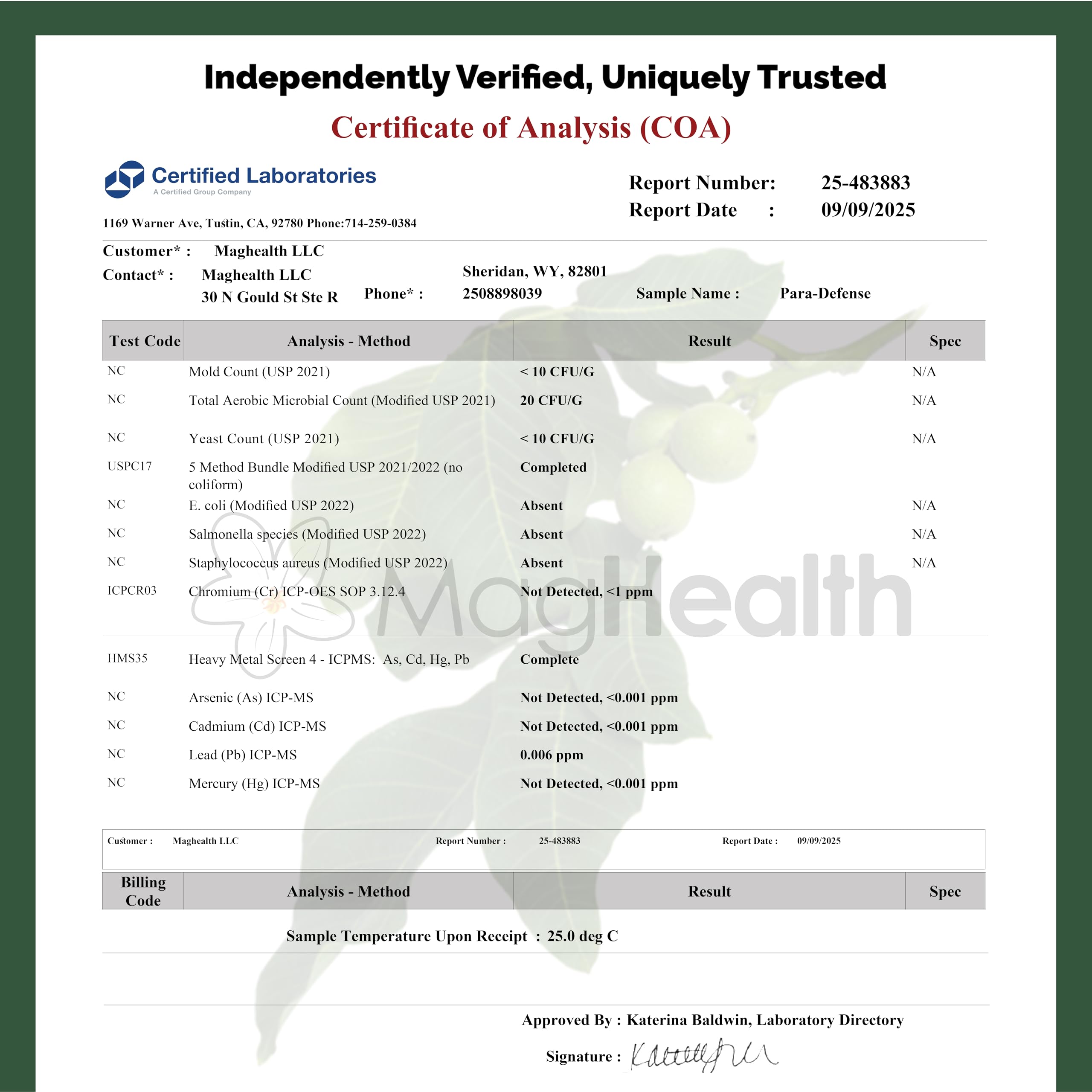 MagHealth Wormwood Tincture 2 oz side view