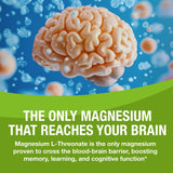 Magtein Magnesium L-Threonate Supplement bottle with capsules