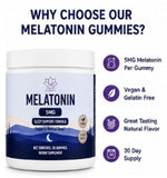 Main Products Melatonin 5 mg Gummies close-up of gummy