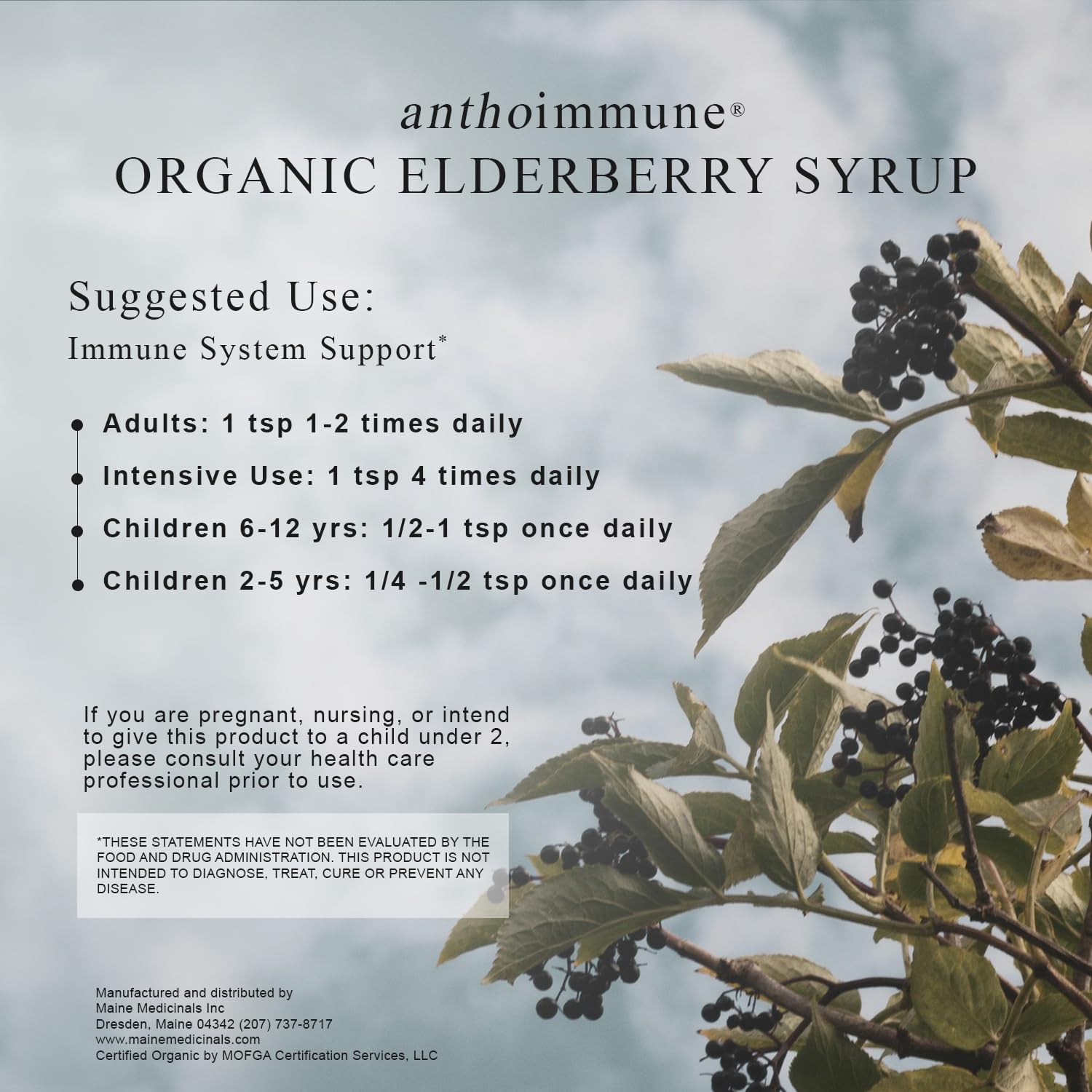 Maine Medicinals Elderberry Syrup 8 fl oz bottle on a kitchen counter