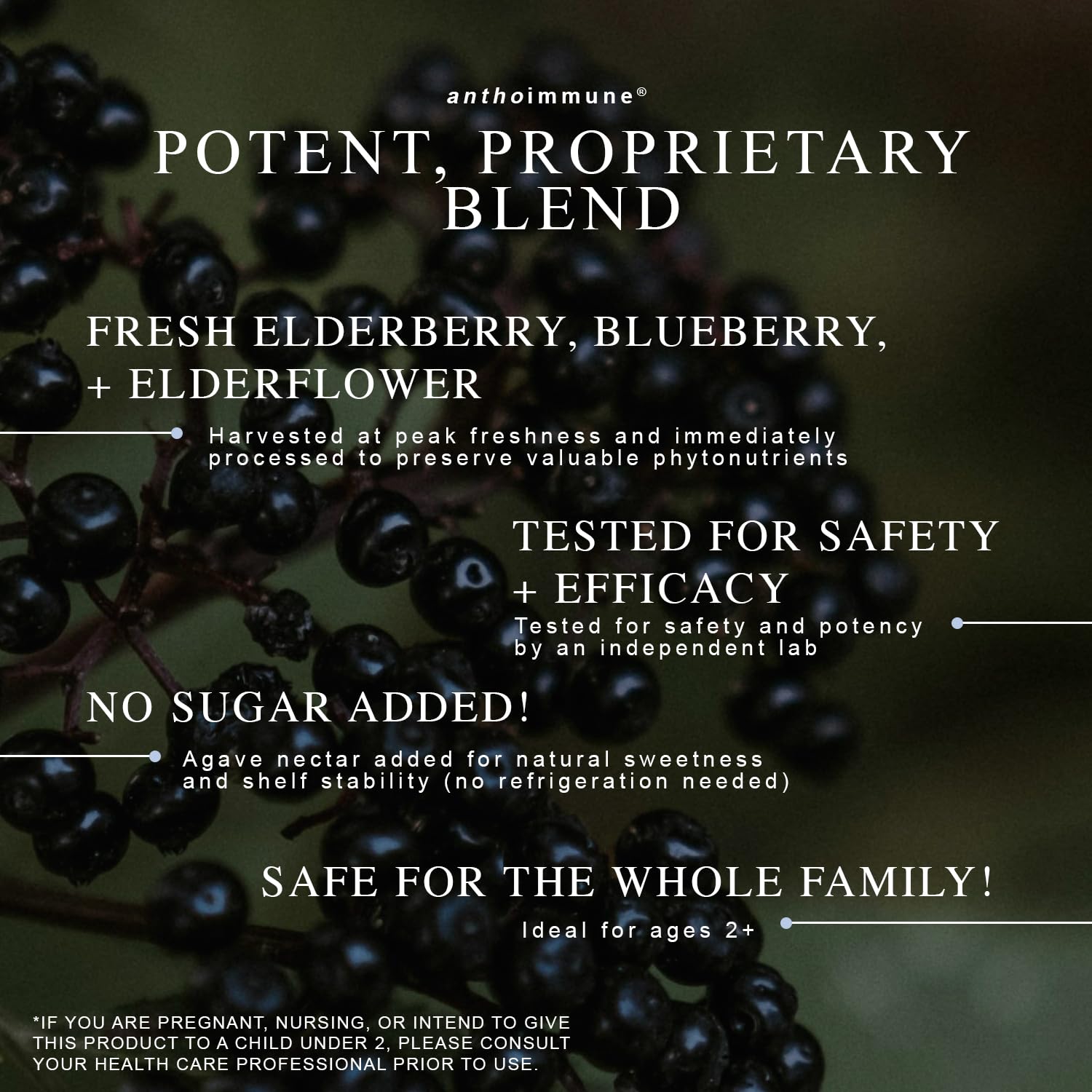 Maine Medicinals Elderberry Syrup 8 fl oz with ingredients