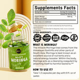 Maju Superfoods Moringa Capsules packaging details