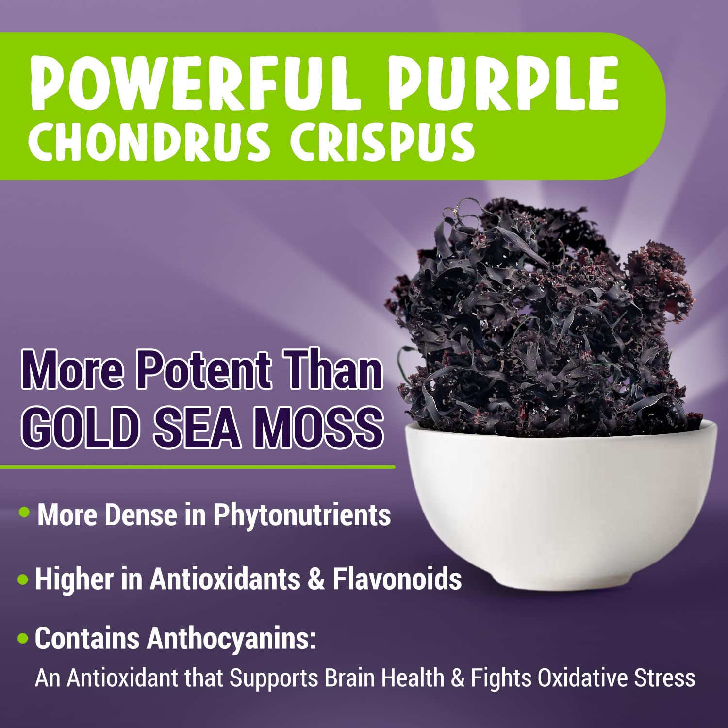 Maju Superfoods Purple Sea Moss Capsules bottle side view