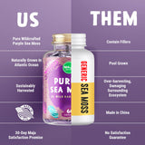 Maju Superfoods Purple Sea Moss Capsules close-up