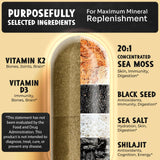 Maju Superfoods Sea Moss & Shilajit Capsules ingredients close-up