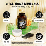 Maju Superfoods Sea Moss & Shilajit Capsules with packaging