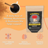 MALAMA MUSHROOMS 8-Mushroom Hot Cacao Mix lifestyle scene with cacao