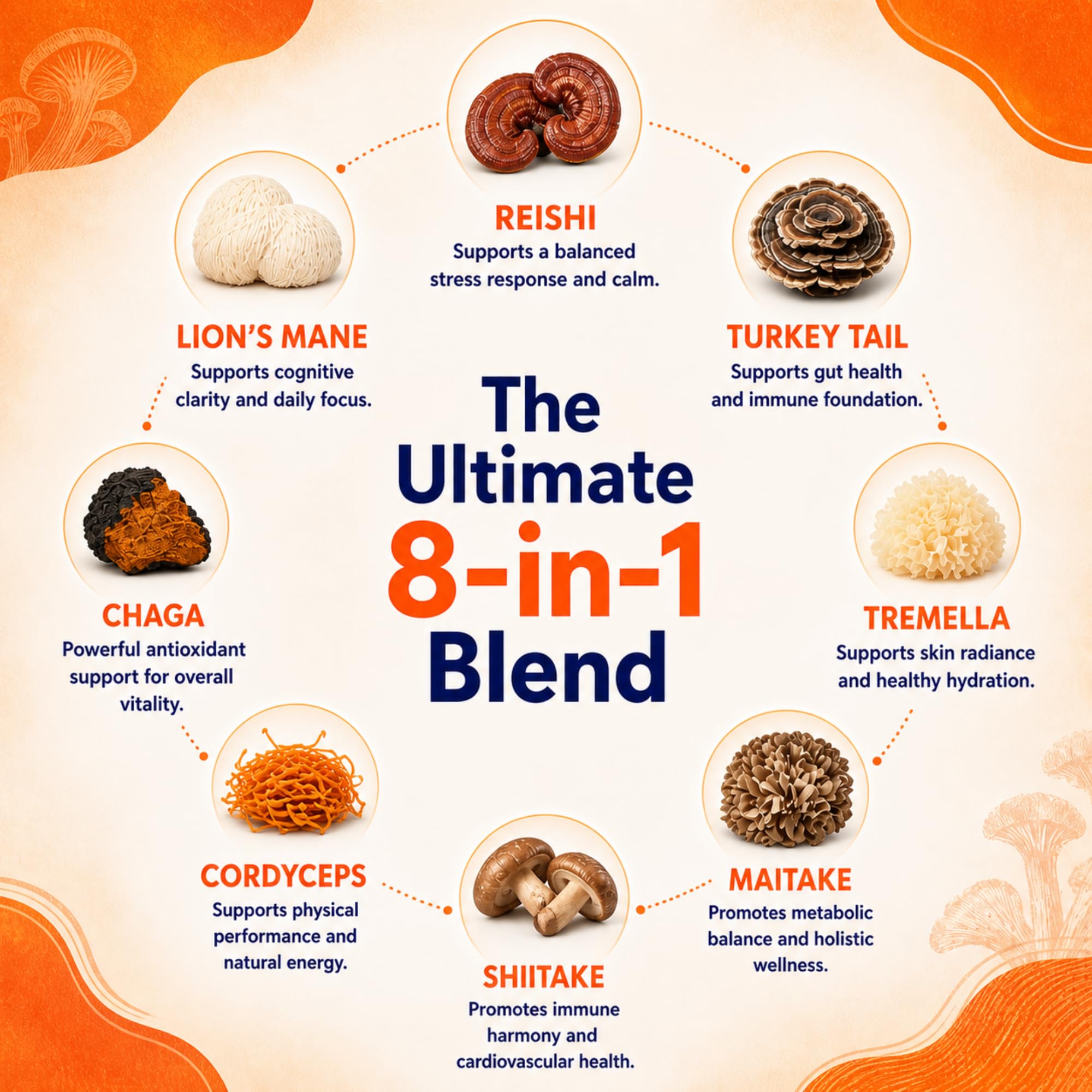 MALAMA MUSHROOMS 8-Mushroom Powder in a bowl with a spoon
