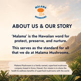 MALAMA MUSHROOMS 8-Mushroom Powder lifestyle scene with smoothie