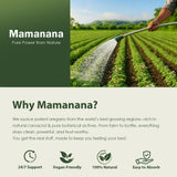 mamanana Oregano Oil Capsules close-up of capsules