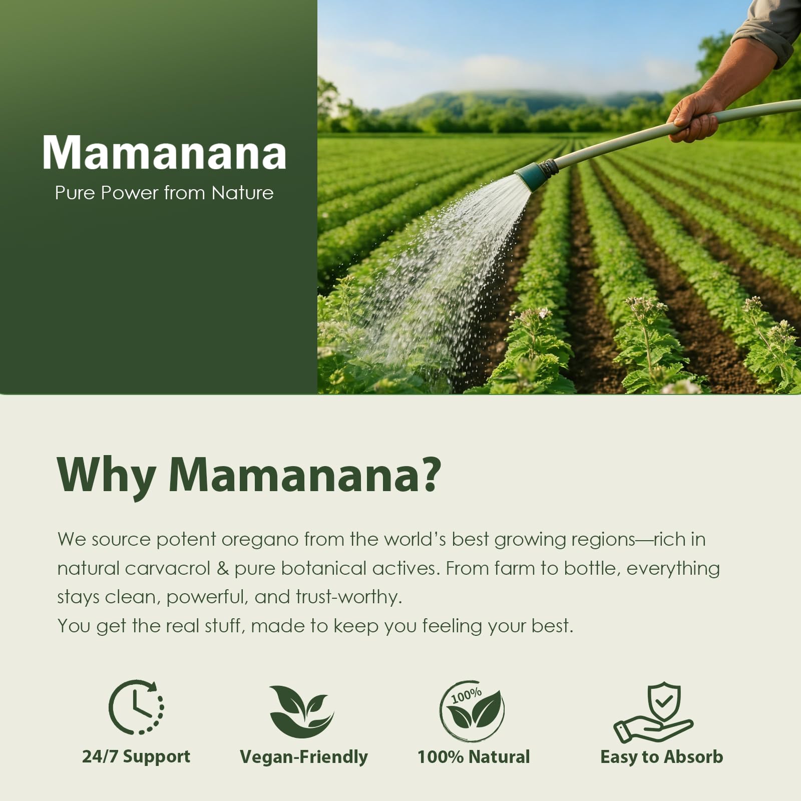 mamanana Oregano Oil Softgels 6-in-1 Herbal Formula on a wooden table