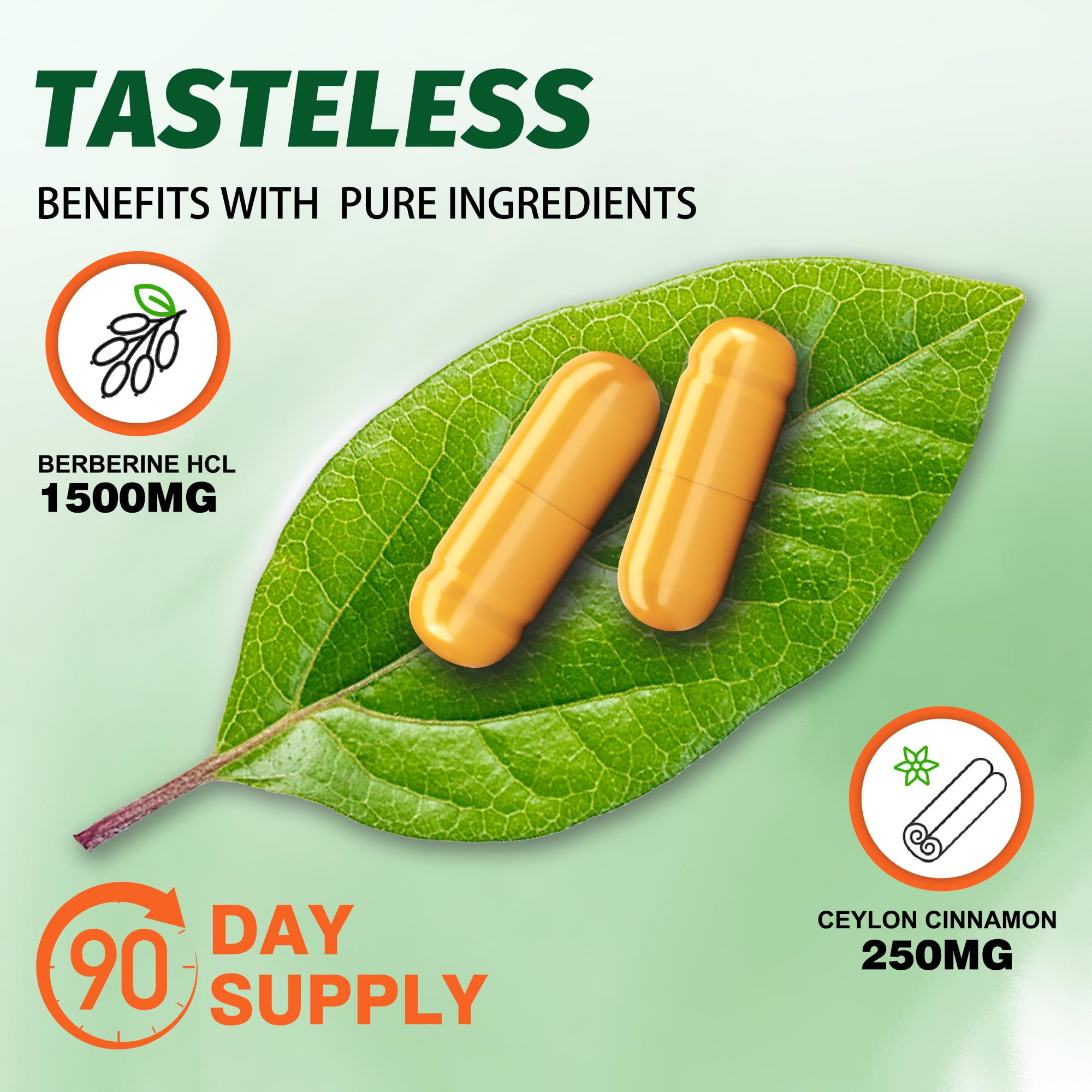 Manewu Berberine Supplement 1500mg HCL back view with ingredients