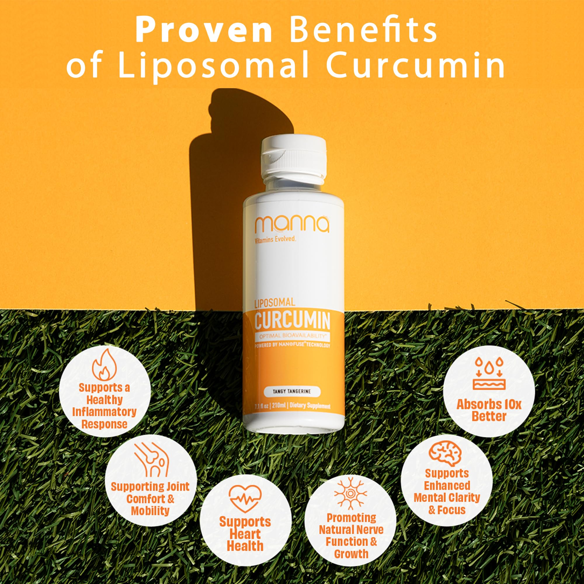 Manna Vitamins Evolved Liquid Liposomal Curcumin Turmeric Supplement in a kitchen setting