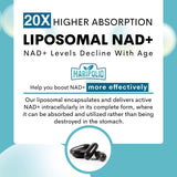 Maripolio Liposomal NAD+ softgel bottle with dosage information