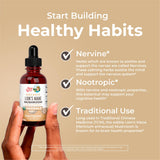 MARYRUTH'S Lion's Mane Mushroom Liquid Drops in a lifestyle setting