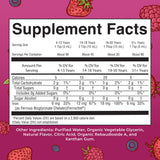MARYRUTH'S Liquid Iron Supplement 490g back view