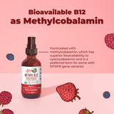 MARYRUTH'S Methyl B12 Spray dosage instructions