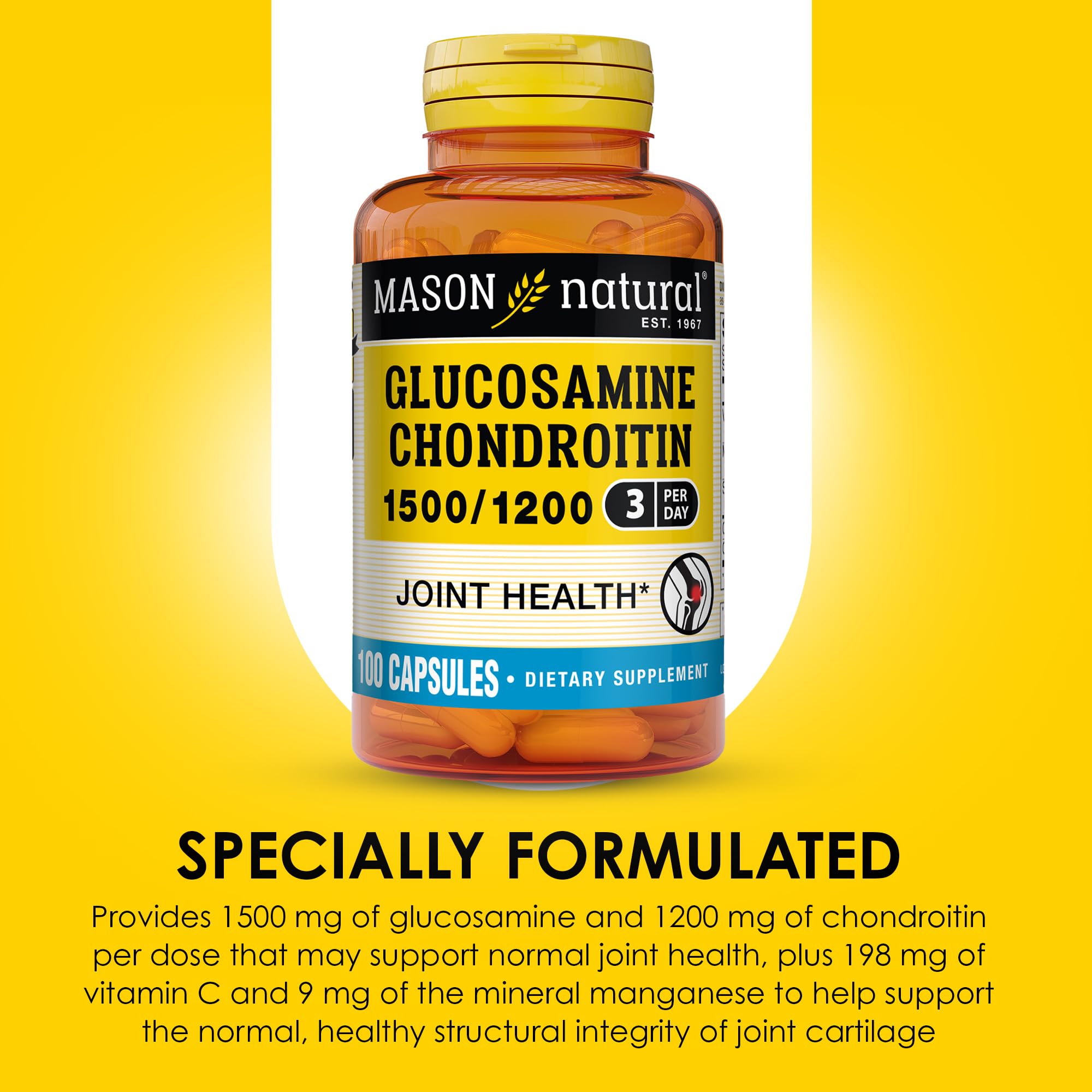 MASON NATURAL Chondroitin Supplement capsules in bottle