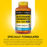 MASON NATURAL Chondroitin Supplement capsules in bottle