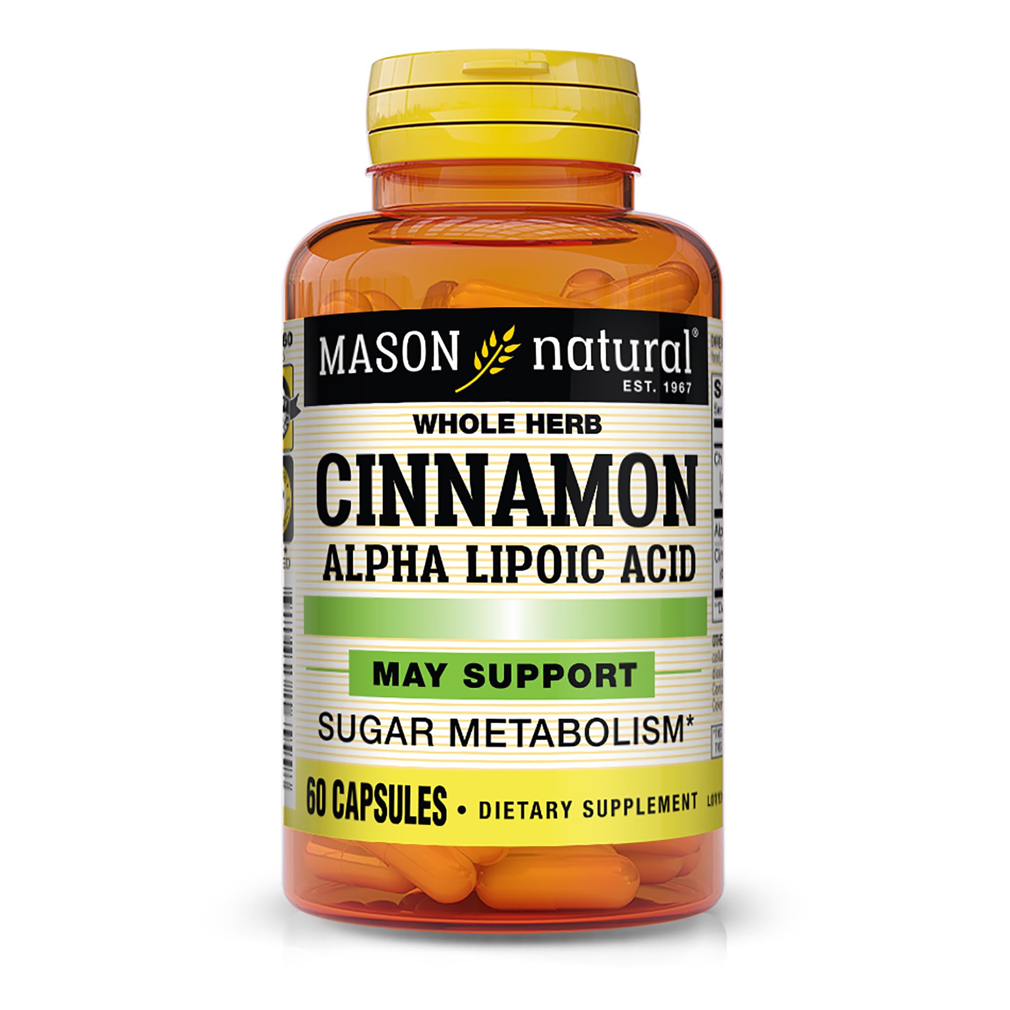 MASON NATURAL Cinnamon Alpha Lipoic Acid Complex front view with 60 capsules