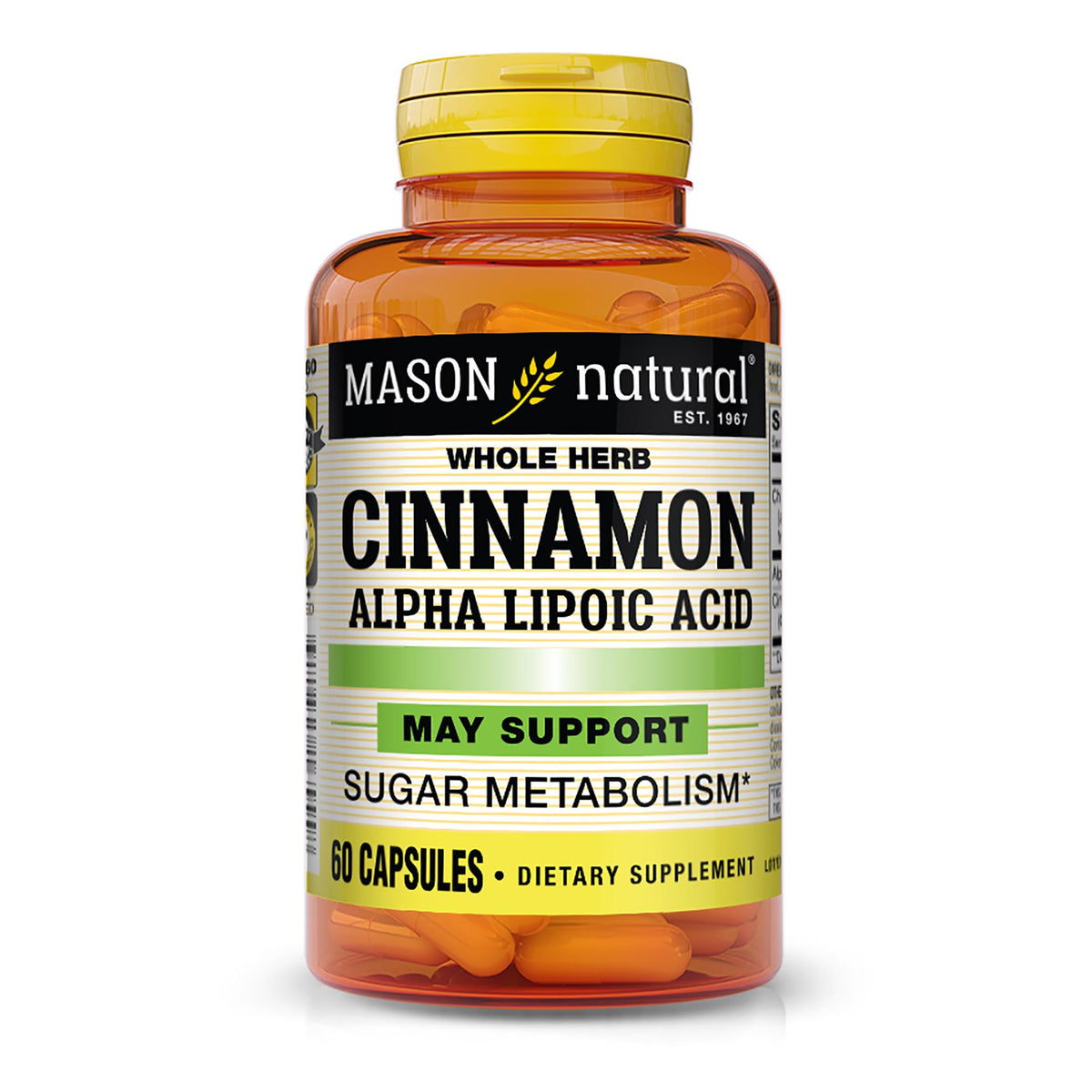 MASON NATURAL Cinnamon Alpha Lipoic Acid Complex front view with 60 capsules