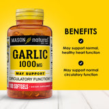 MASON NATURAL Garlic Oil Softgels side view showing softgels